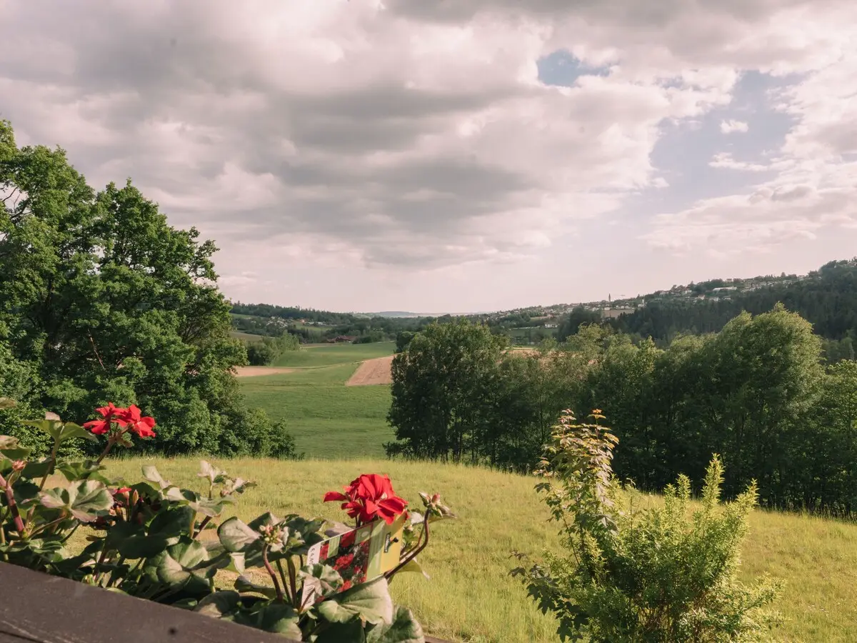 Weitblick über den Bayerischen Wald